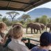 Safari Tanzanie et Zanzibar : vivez 10 jours d'aventures magiques